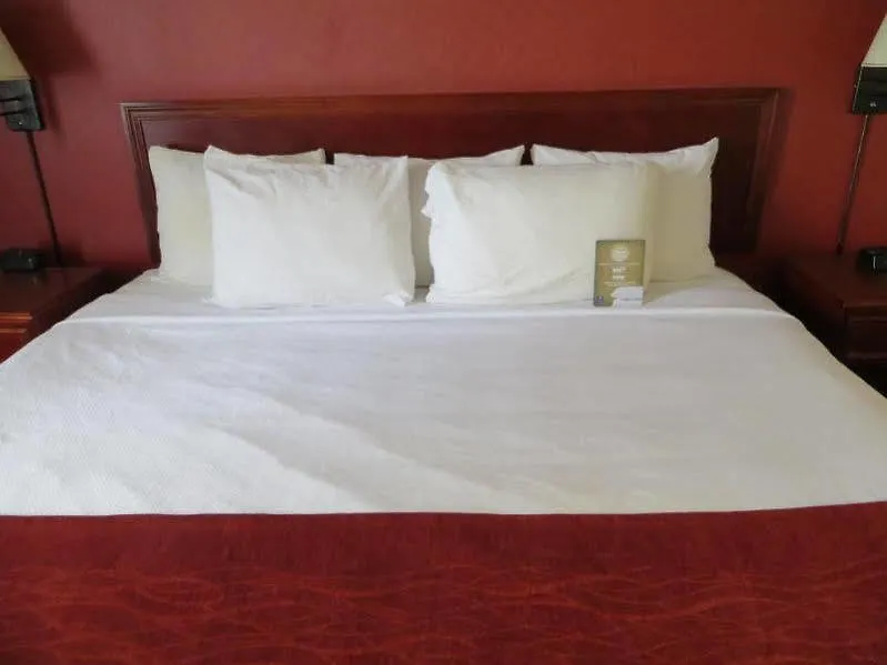 Hotel Comfort Inn & Suites University Calgary