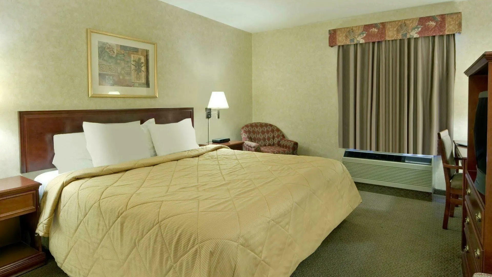 Comfort Inn & Suites University Calgary Canada
